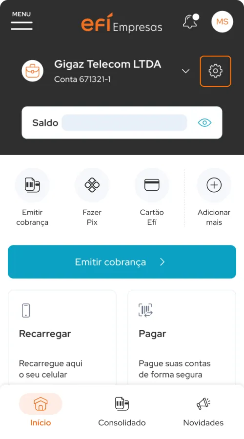 Passo número um: Acesse a conta Efí Bank.