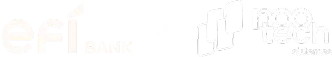 Logo Efí e Nootech